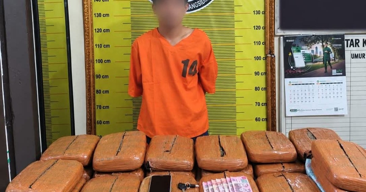 Kurir Ganja 20 Kg Gigit Lengan Polisi di Padangsidimpuan 