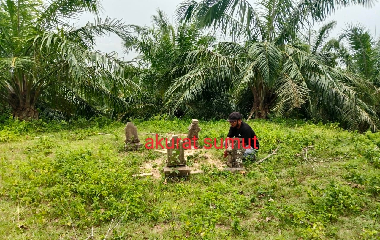 Menyingkap Jejak Pasai di Antara Sawit: Makam Kuno Abad ke-15 Ditemukan Rusak di Cot Girek