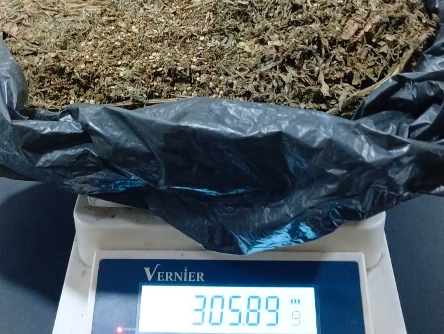 Oknum Satpam di Medan Ditangkap Edarkan Ganja, Polisi Menyita 3 Ons Barang Bukti