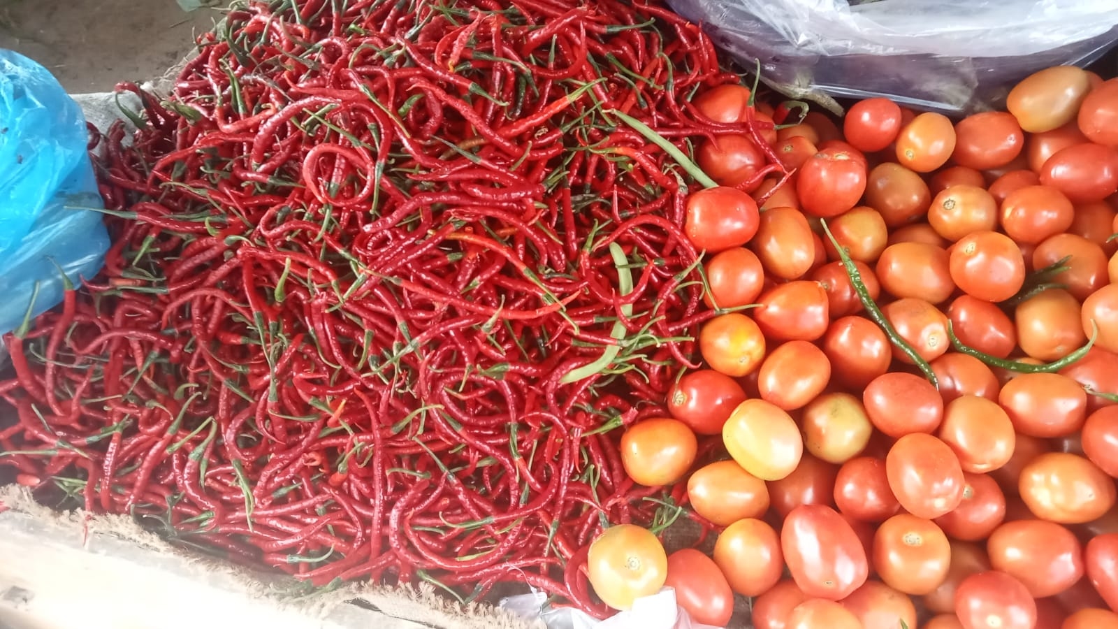 Harga Cabe Merah di Rantauprapat Melejit Tembus Rp100 Ribu/Kg, Hujan di Berastagi Jadi Biang Kerok