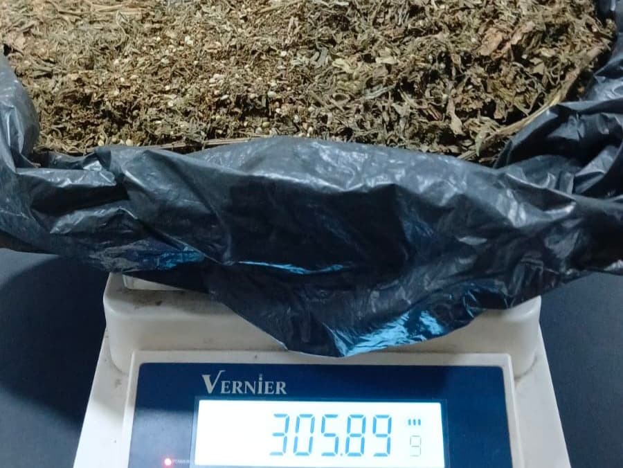 Oknum Satpam di Medan Ditangkap Edarkan Ganja, Polisi Menyita 3 Ons Barang Bukti