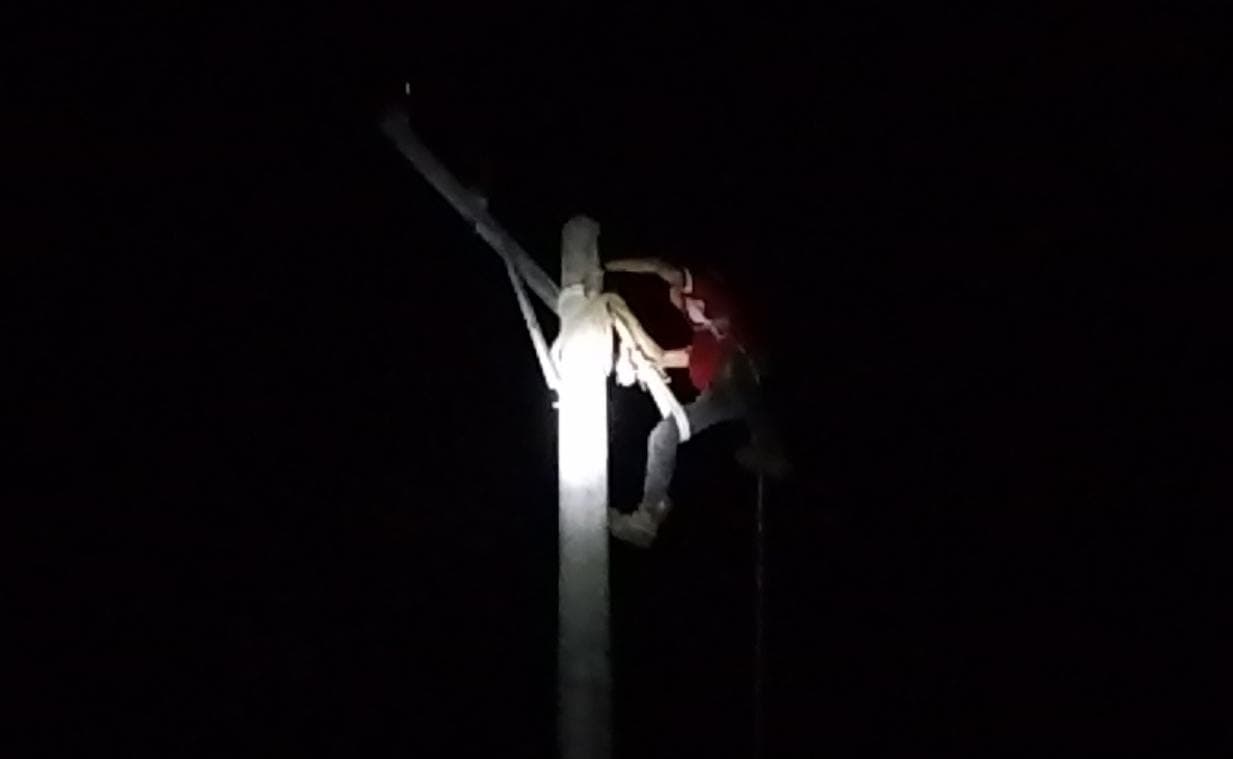 Kerja Keras Petugas PLN : Arus Listrik Kembali Normal Pasca Tumbangnya Tiang Akibat Angin Kencang