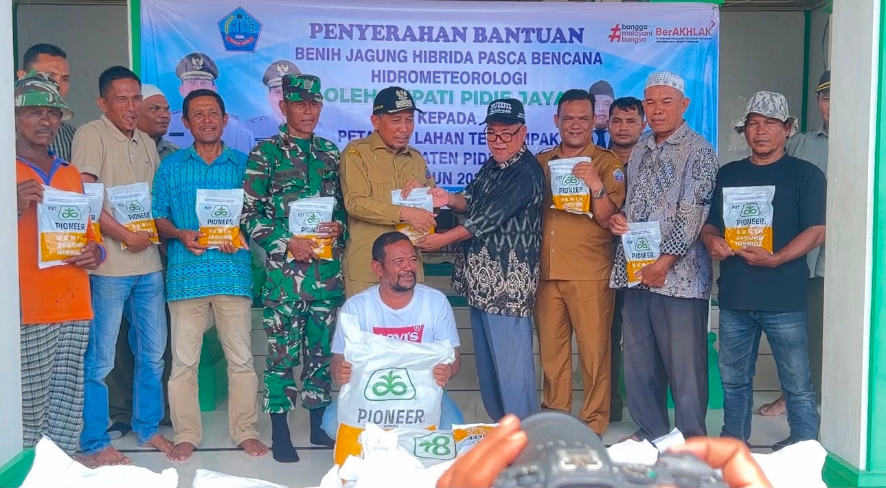 Pemkab Pidie Jaya Salurkan 9,2 Ton Benih Jagung Hibrida Pascabencana