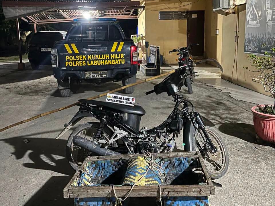 Maling Sawit di Labura Digulung Polisi! Dua Pria Pangkalan Lunang Diringkus Unit Reskrim Polsek Kualuh Leidong