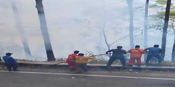 Karhutla Sumatera Meluas, 17 Titik Panas Terdeteksi, 180 Hektare Hutan Terbakar!